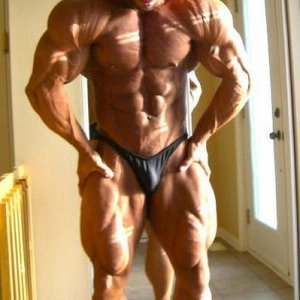 2011 Bodybuilding images