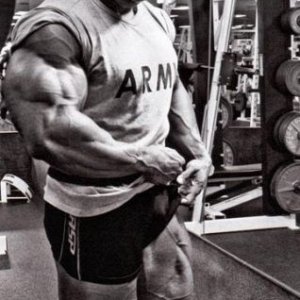 2011 Bodybuilding images