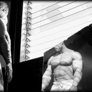 2011 Bodybuilding images