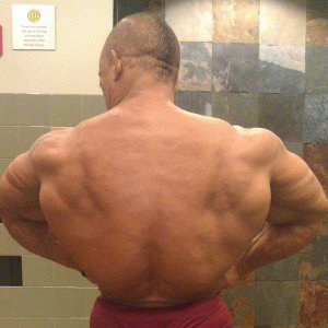 2011 Bodybuilding images