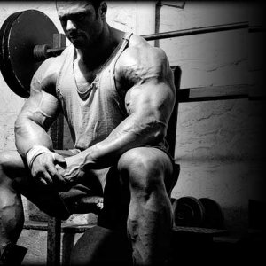 2011 Bodybuilding images