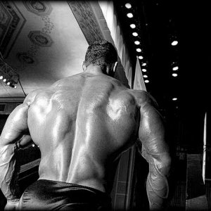 2011 Bodybuilding images