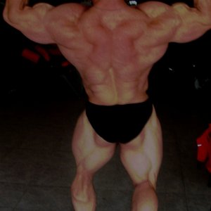 2011 Bodybuilding images