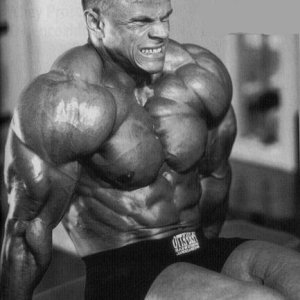 2011 Bodybuilding images