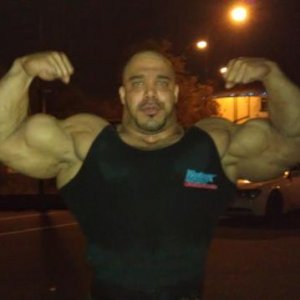 2011 Bodybuilding images