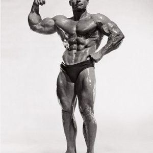 2011 Bodybuilding images