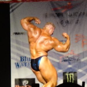 2011 Bodybuilding images