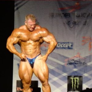 2011 Bodybuilding images