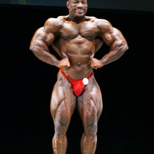 2011 Bodybuilding images