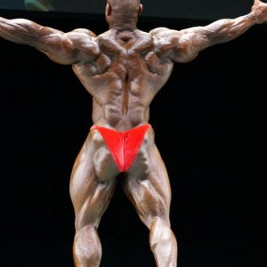 2011 Bodybuilding images