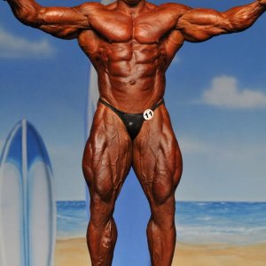 2011 Bodybuilding images