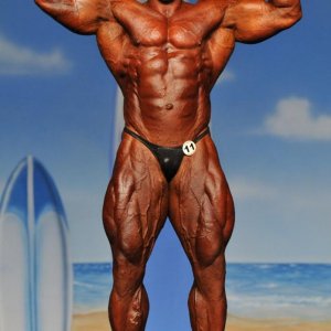 2011 Bodybuilding images