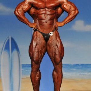 2011 Bodybuilding images