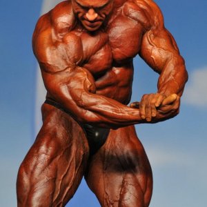 2011 Bodybuilding images