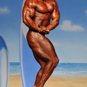 2011 Bodybuilding images