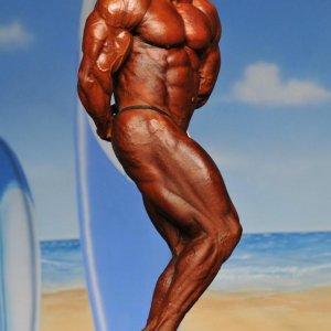 2011 Bodybuilding images