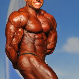 2011 Bodybuilding images