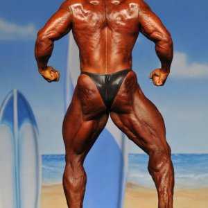 2011 Bodybuilding images