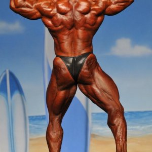 2011 Bodybuilding images