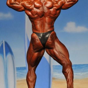 2011 Bodybuilding images