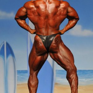 2011 Bodybuilding images