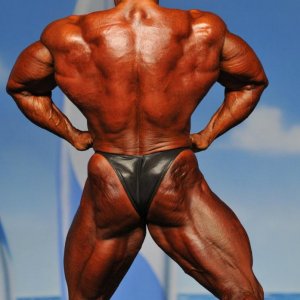 2011 Bodybuilding images