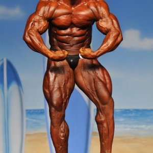 2011 Bodybuilding images