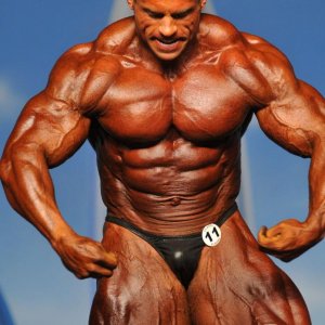 2011 Bodybuilding images