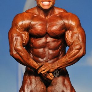 2011 Bodybuilding images