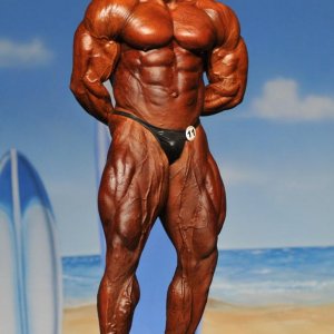 2011 Bodybuilding images