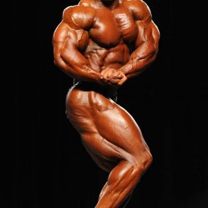 2011 Bodybuilding images