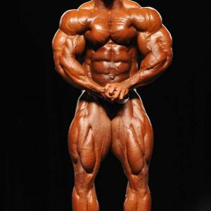 2011 Bodybuilding images