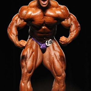 2011 Bodybuilding images