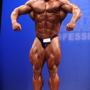 2011 Bodybuilding images