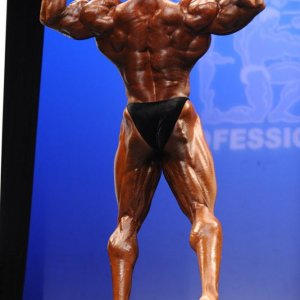 2011 Bodybuilding images