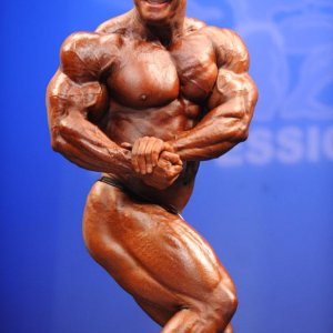 2011 Bodybuilding images