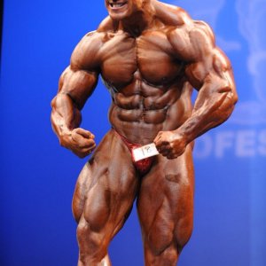 2011 Bodybuilding images