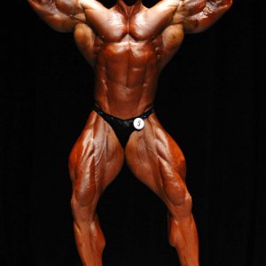 2011 Bodybuilding images