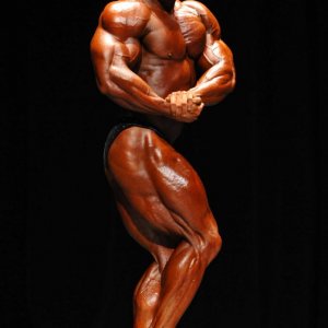 2011 Bodybuilding images