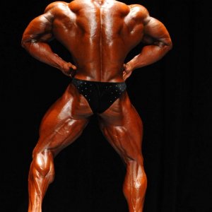 2011 Bodybuilding images