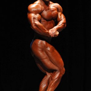 2011 Bodybuilding images