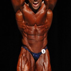 2011 Bodybuilding images