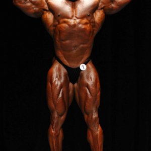 2011 Bodybuilding images