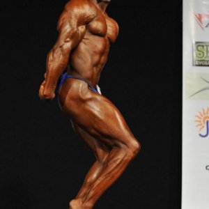 2011 Bodybuilding images