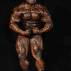 2011 Bodybuilding images