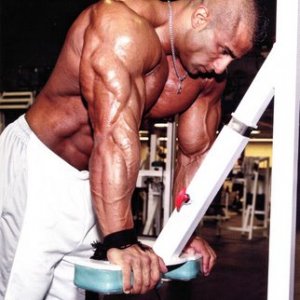 2011 Bodybuilding images