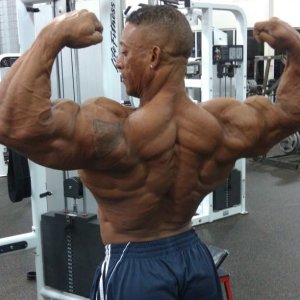 2011 Bodybuilding images