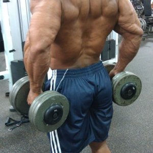 2011 Bodybuilding images