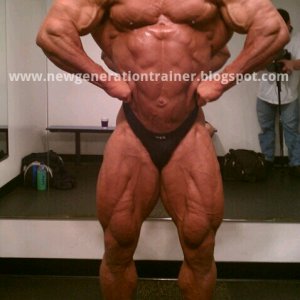 2011 Bodybuilding images