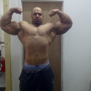 2011 Bodybuilding images